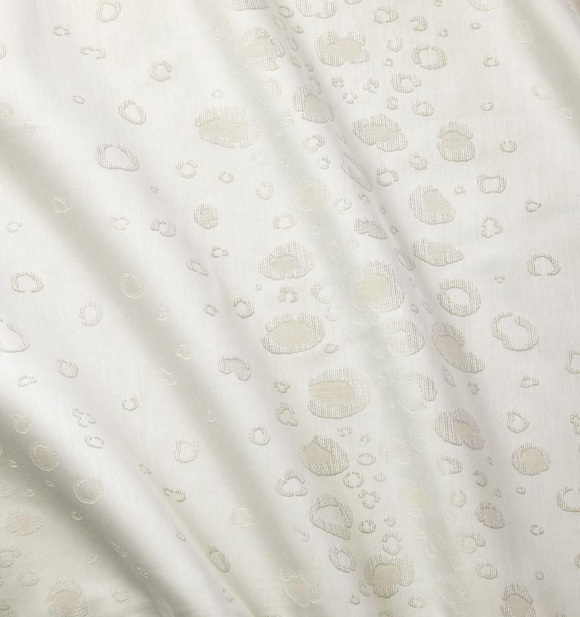 Felino Sham - Image 5