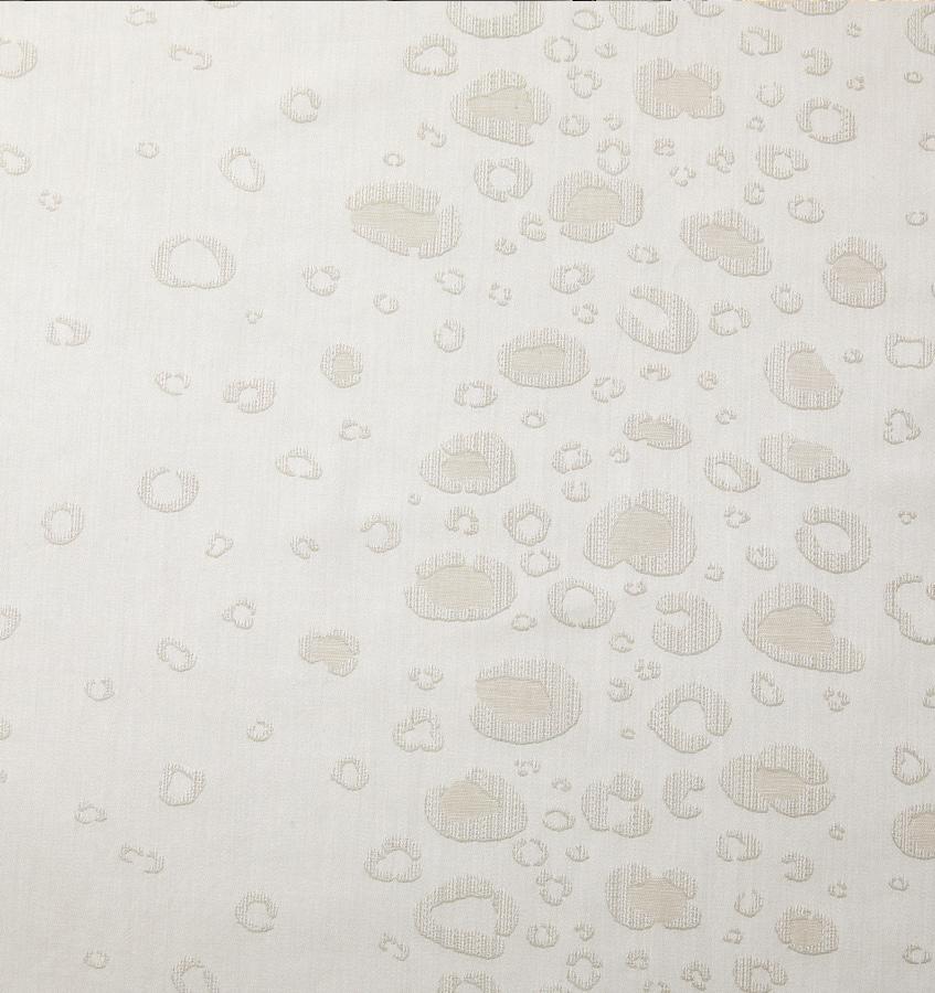 Felino Sham - Image 7