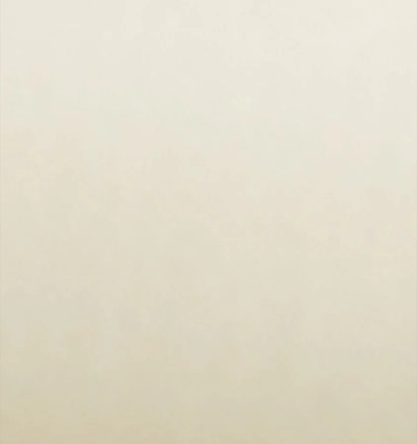 Giotto Fabric - Image 15