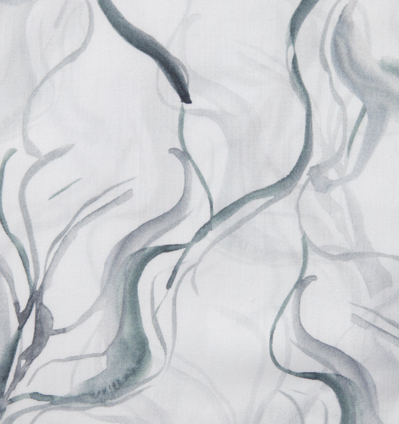 Muro Sham - Image 4