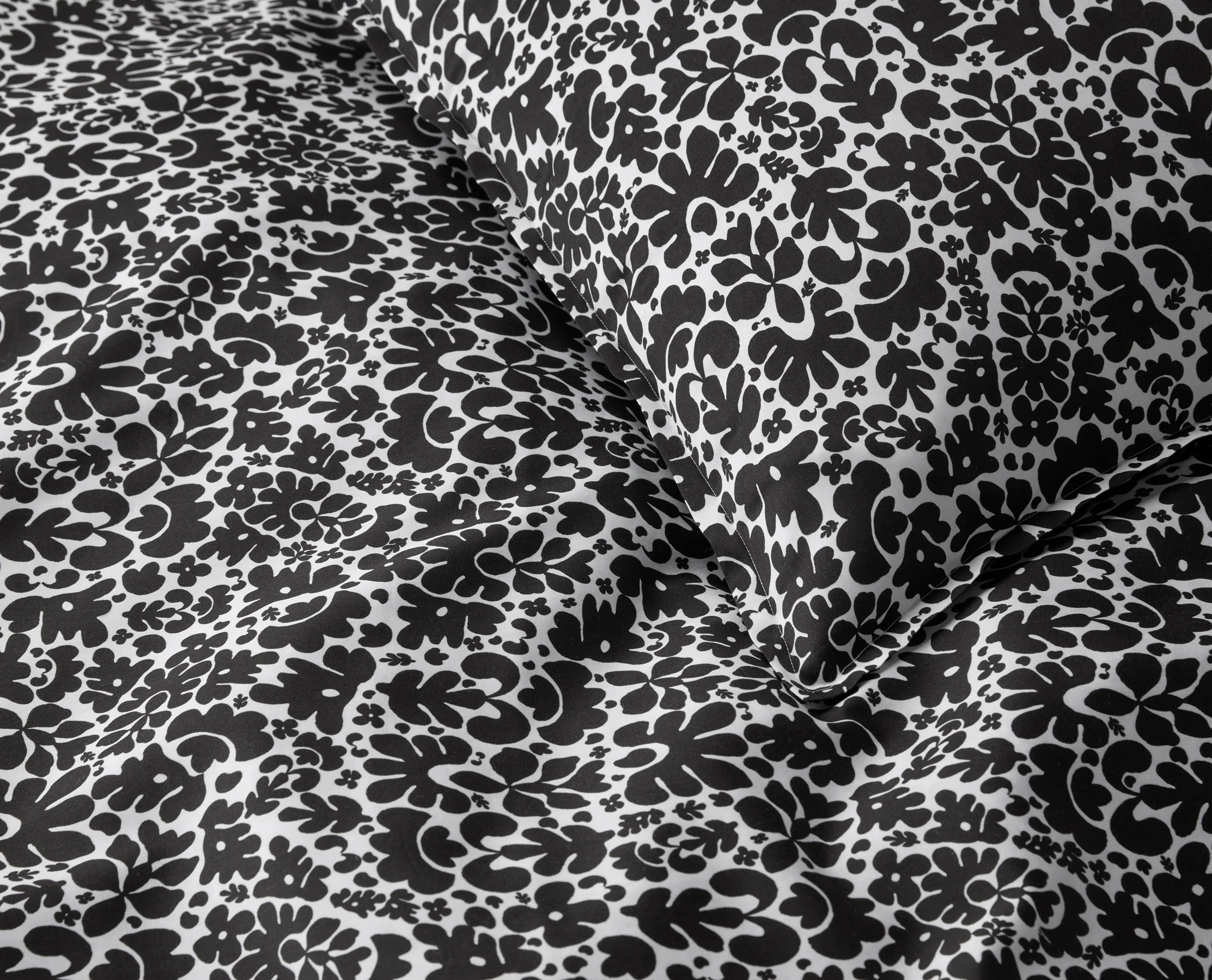 Nori Sham - Image 3