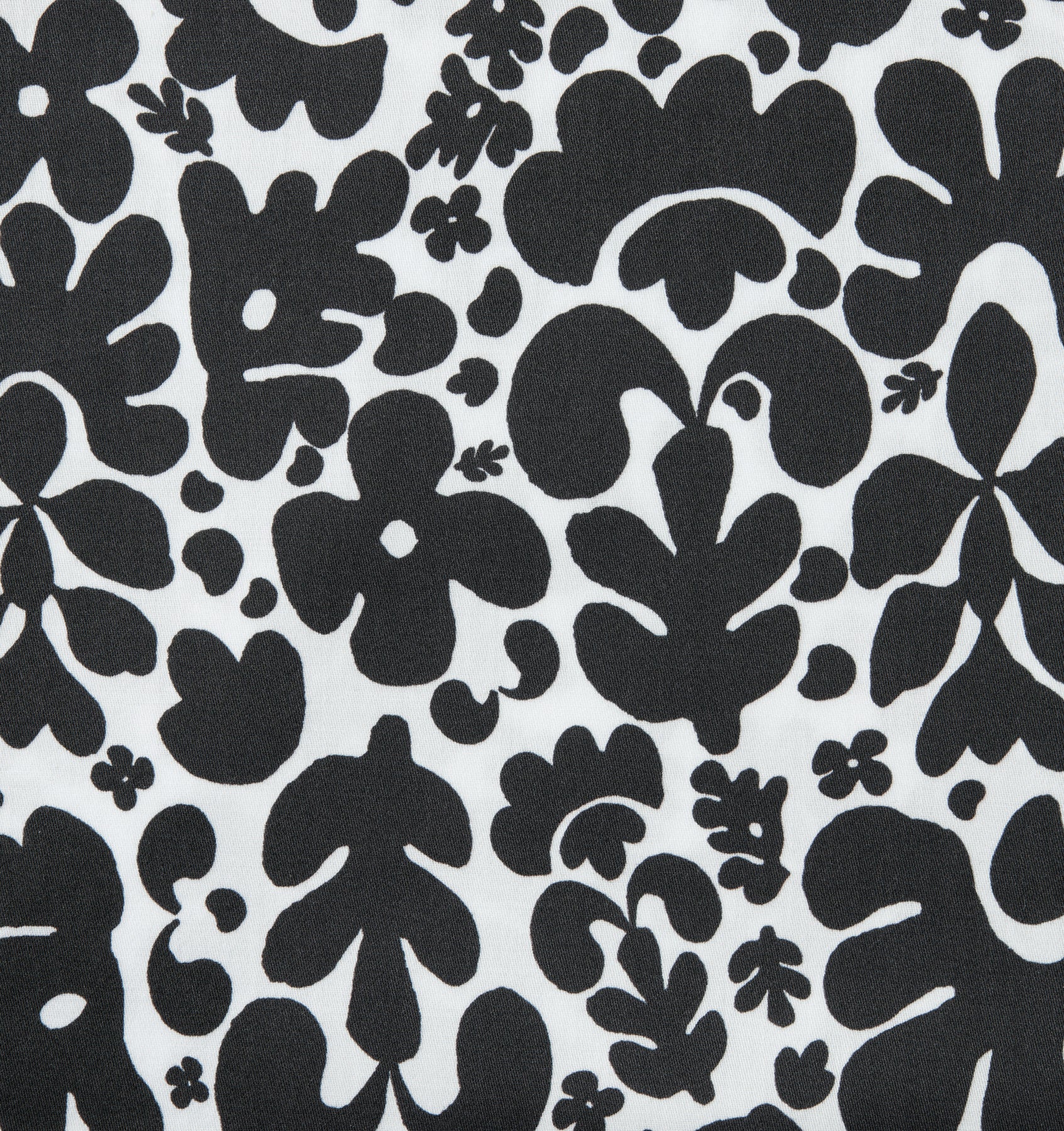 Nori Sham - Image 4